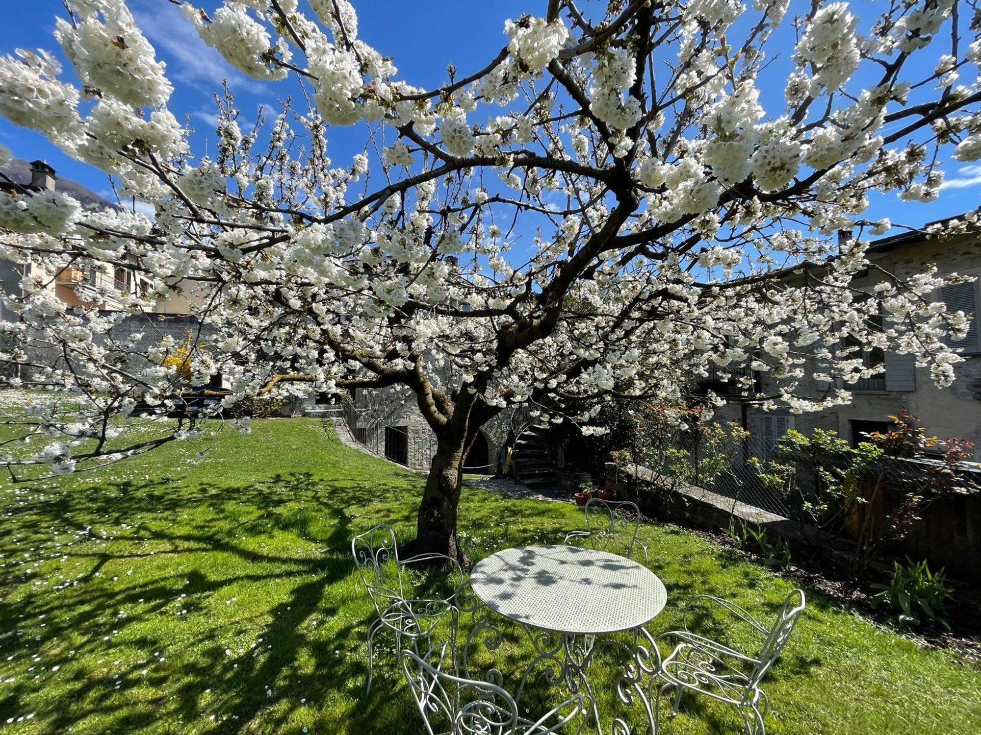 Piano Nobile Al Roseto Del Drago Villa San Bernardo  Bagian luar foto
